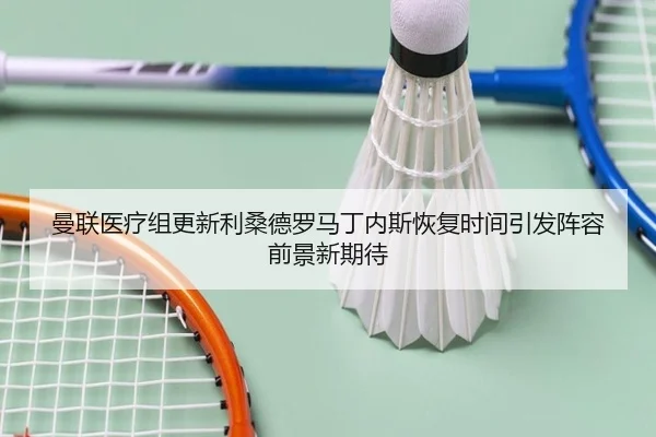 曼联医疗组更新利桑德罗马丁内斯恢复时间引发阵容前景新期待
