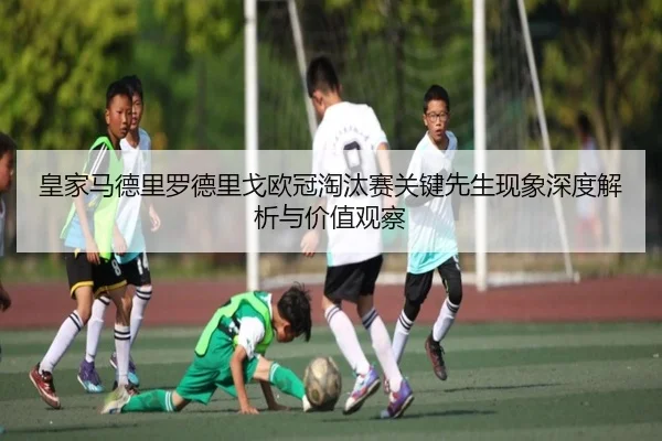 img_1782234938321_535_1_973.jpg
